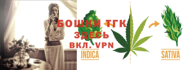 МДПВ Туринск