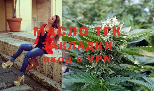 МДПВ Туринск