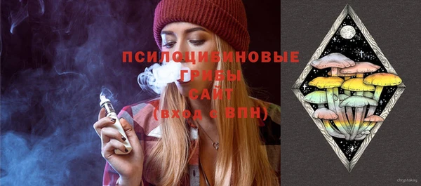 МДПВ Туринск