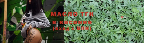 МДПВ Туринск