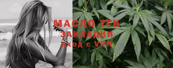 МДПВ Туринск