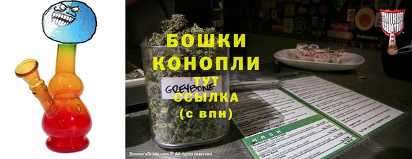 МДПВ Туринск