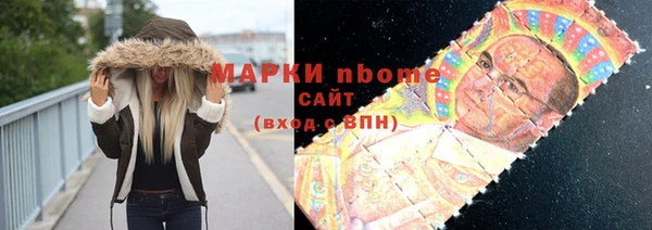 МДПВ Туринск