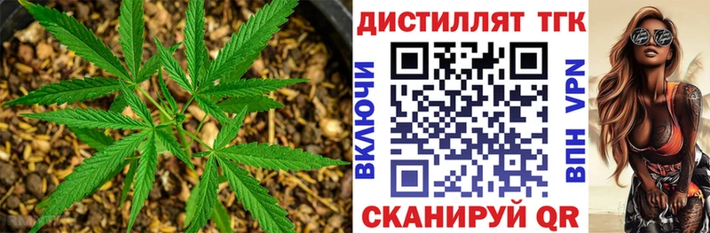 купить  цена  Белая Холуница  Дистиллят ТГК жижа 