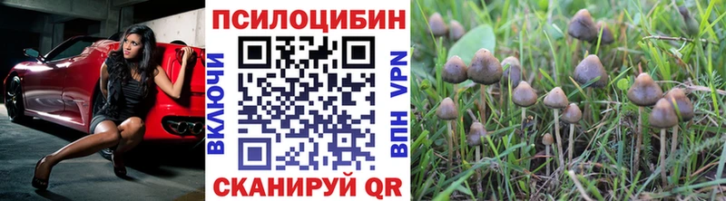 наркота  Белая Холуница  Псилоцибиновые грибы прущие грибы 